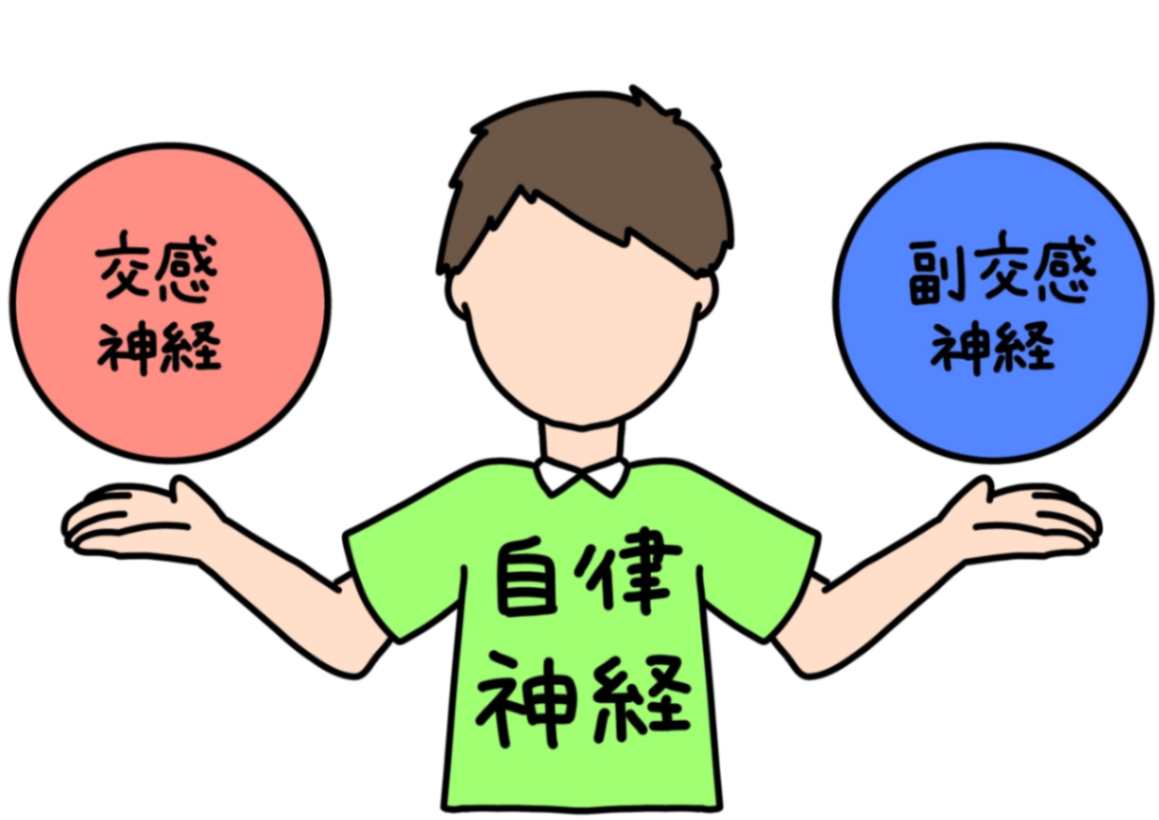 自律神経に影響のある生活習慣